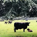 The Lambing Barn * Shipton (North Yorkshire)